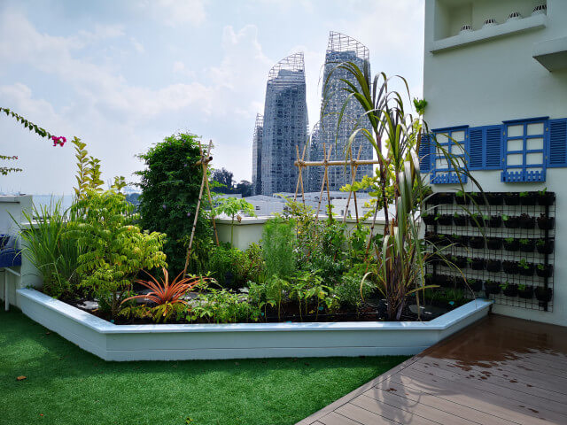 Open rooftop edible garden