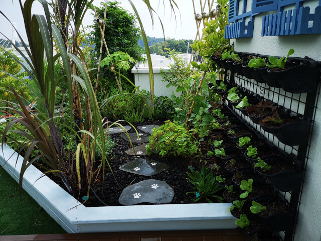 Open Rooftop Edible Garden2