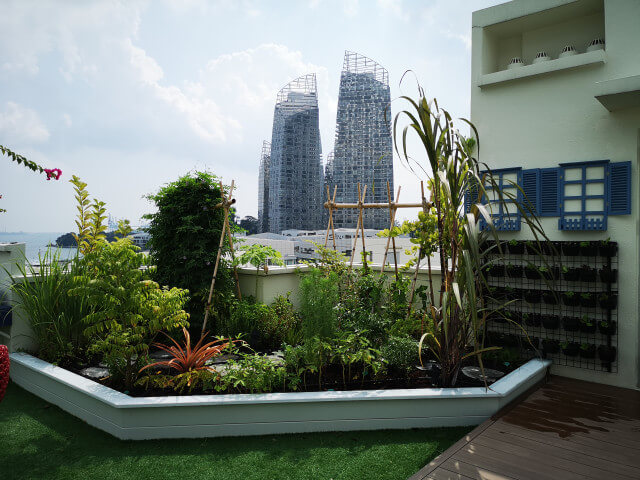 Open rooftop edible garden